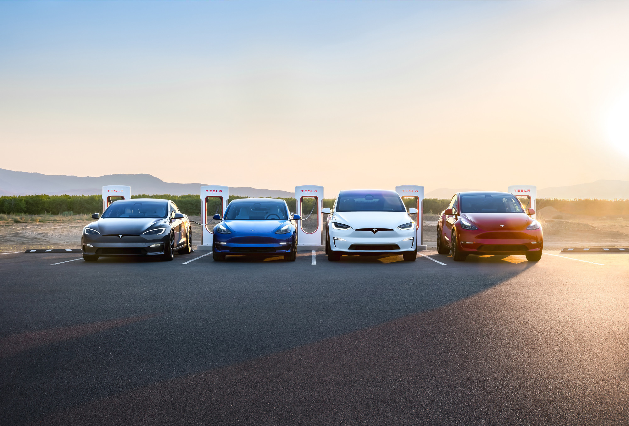 Tesla e incentivi auto 2024 il prezzo delle elettriche compatibili