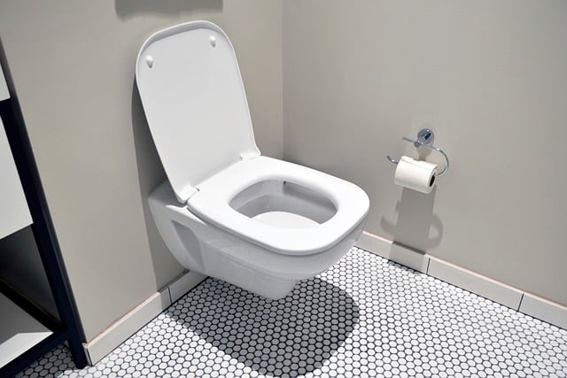 Arriva la fotocamera da WC che fa le foto esattamente a quello che stai pensando